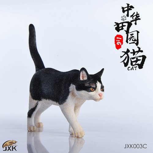 チャイニーズキャット 1/6 フィギュア C（JXK003C）