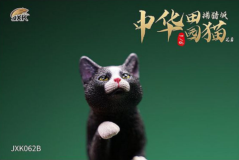 1/6 Chinese Pastroal Cat ハンティングスタイル B (ブラック)JXK-062B