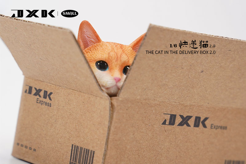 1/6 スモール 猫 イン・ザ・ダンボール 2.0 A Orange Stripe（JS-2302A）