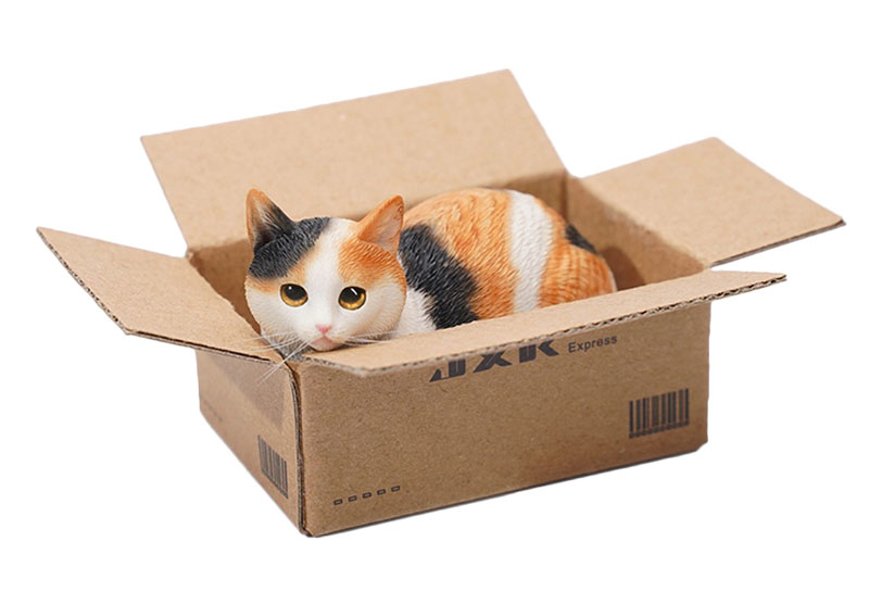 1/6 スモール 猫 イン・ザ・ダンボール 2.0 B Tri-Color（JS-2302B）