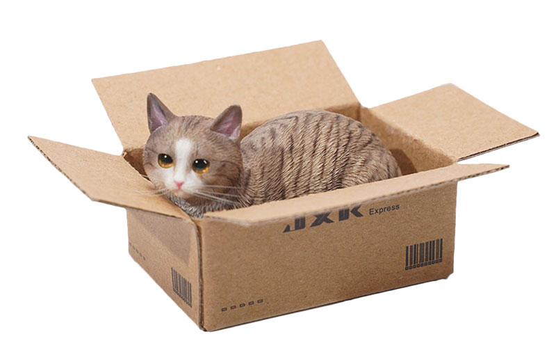 1/6 スモール 猫 イン・ザ・ダンボール 2.0 C Gray Stripe（JS-2302C）