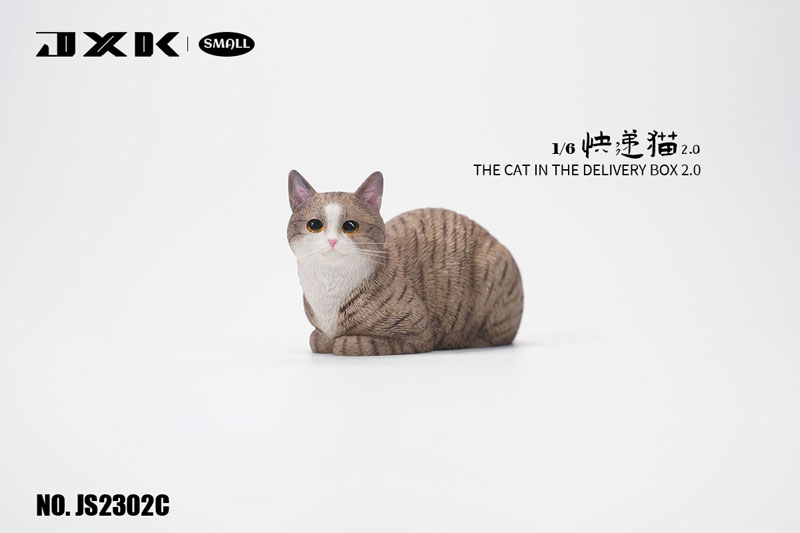 1/6 スモール 猫 イン・ザ・ダンボール 2.0 C Gray Stripe（JS-2302C）
