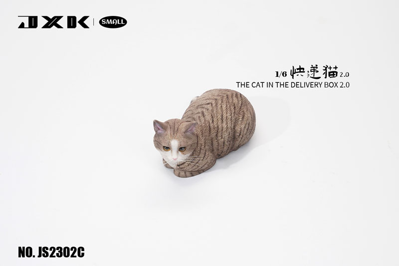1/6 スモール 猫 イン・ザ・ダンボール 2.0 C Gray Stripe（JS-2302C）