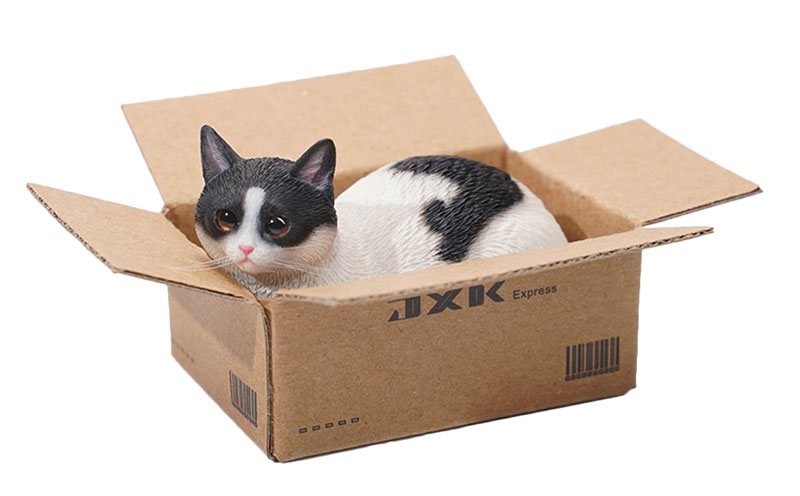 1/6 スモール 猫 イン・ザ・ダンボール 2.0 D White & Black（JS-2302D）