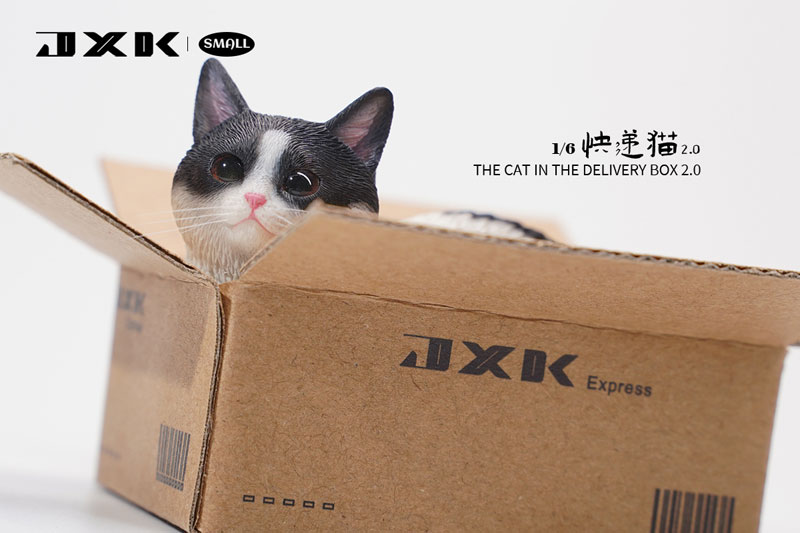 1/6 スモール 猫 イン・ザ・ダンボール 2.0 D White & Black（JS-2302D）
