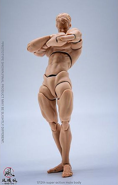 1/12 スーパーフレキシブル男性素体A / アジアンスキン(WT-001B)