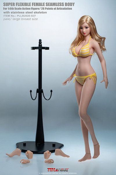 フィメール スーパーフレキシブル シームレス ペール ラージバスト アニメガールタイプ 1/6 アクションフィギュア with ヘッド（PLLB2020-S37）